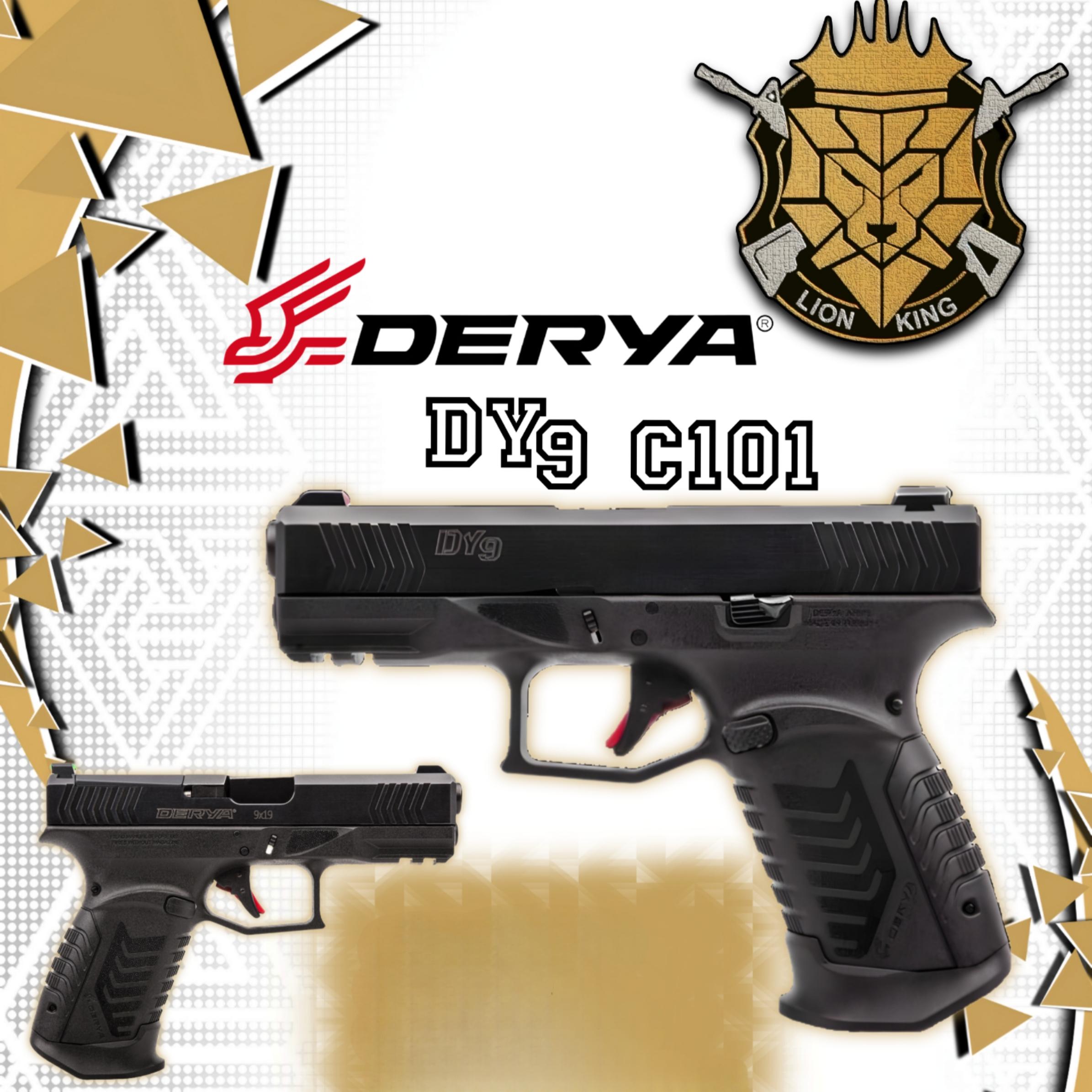 DY9-C101